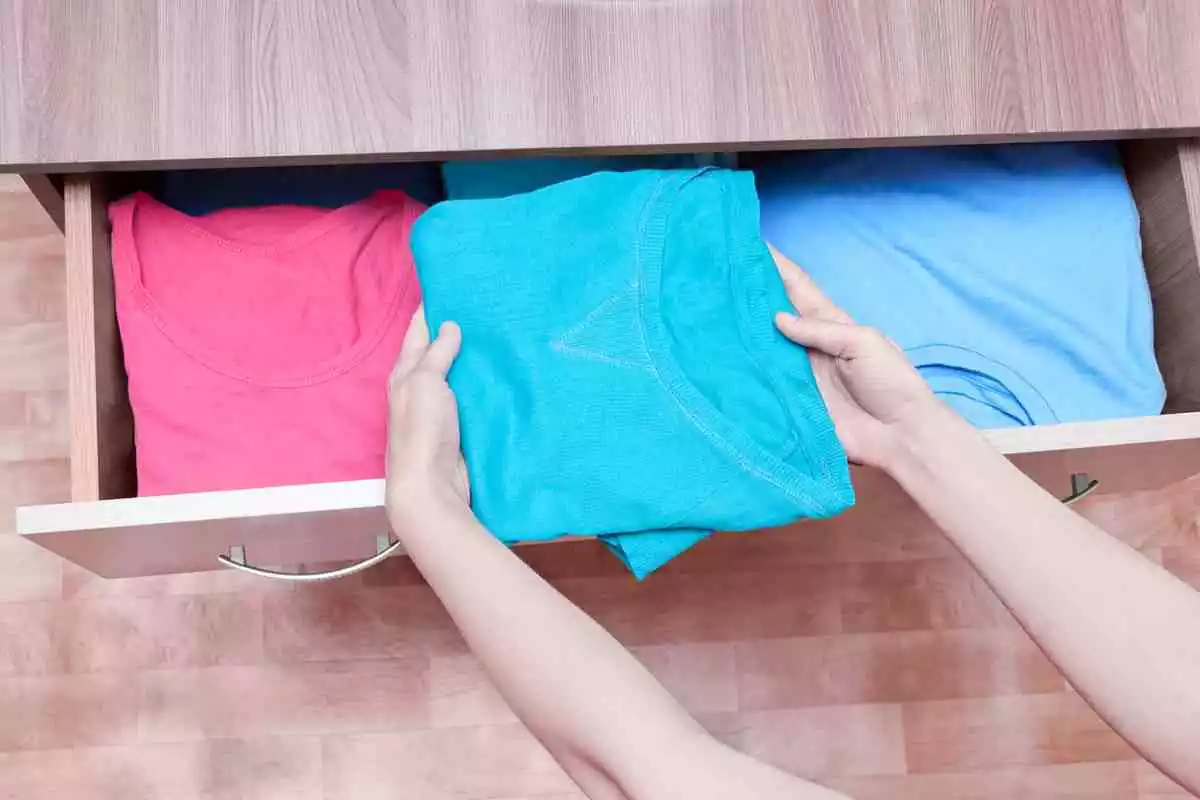 Imagen de un armario con camisetas básicas